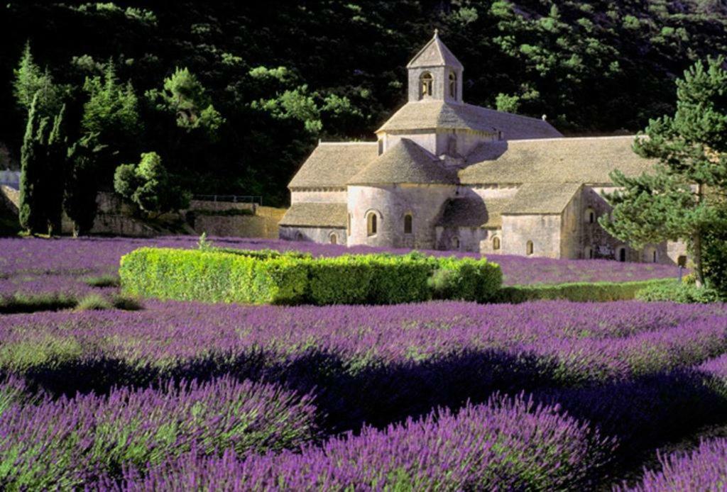 Au Bastidon De Gordes Villa Exteriör bild